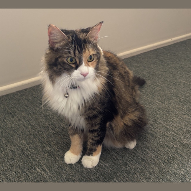 Photo of Lexi