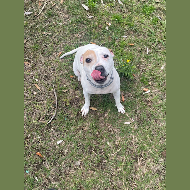 Photo of Molly (0976)