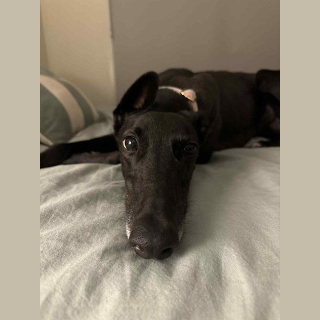 Photo of Tiny