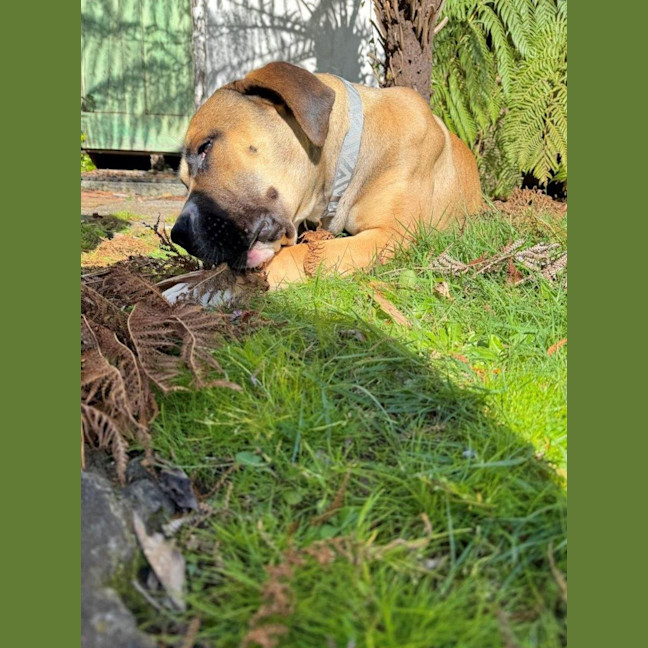 Photo of Archer Tamblyn