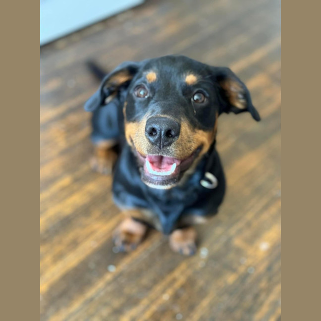 Photo of Skyler 