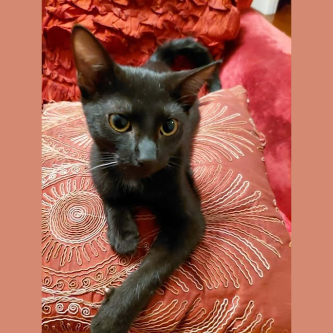 Photo of Nix