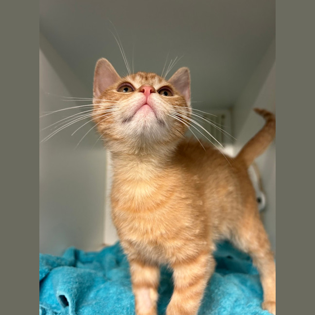 Photo of Elio