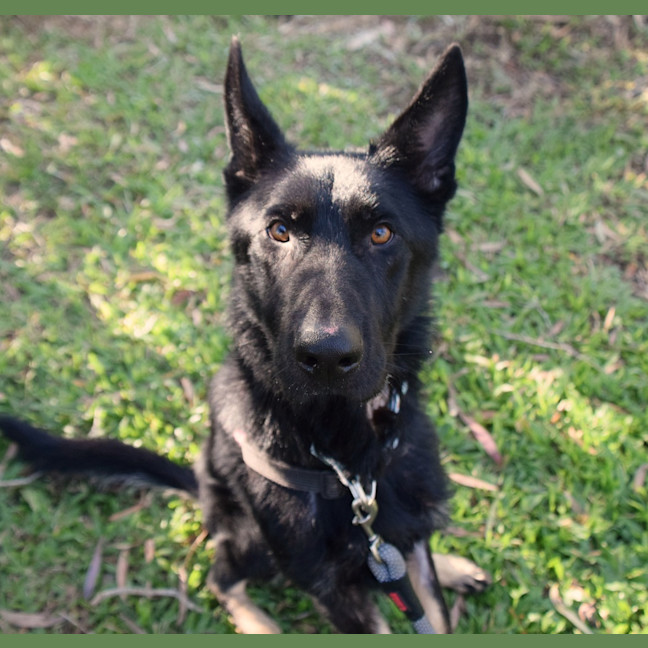 Photo of Zeus