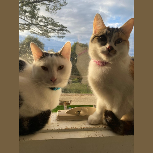 Photo of Aiko And Emiri 🌺💙