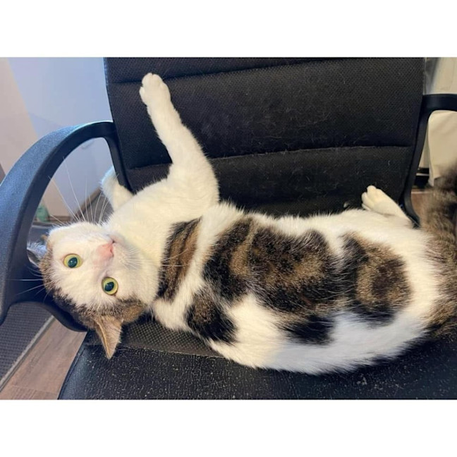 Photo of 10830   Bobbob