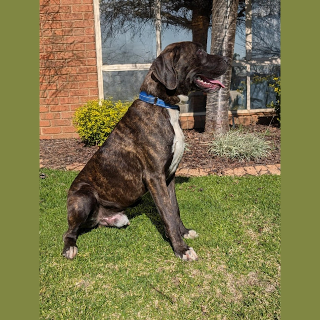 Photo of Stryker