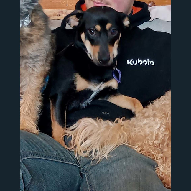 Photo of Princess 