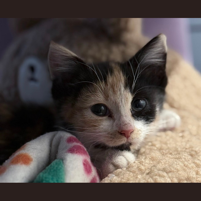 Photo of Wynter 🌺