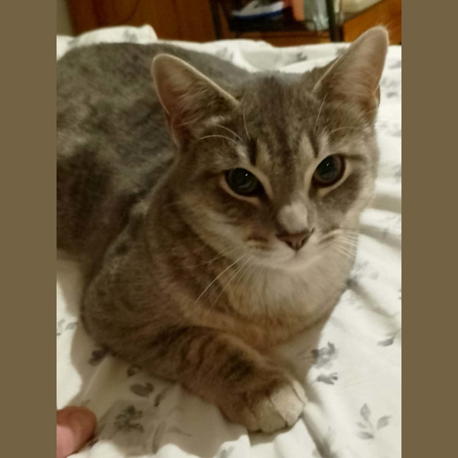 Photo of Sweetie 💕