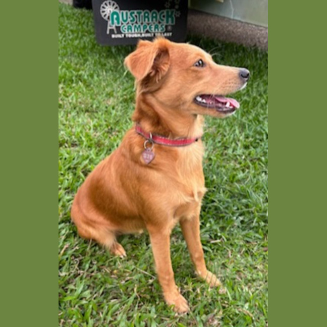 Photo of Nutmeg
