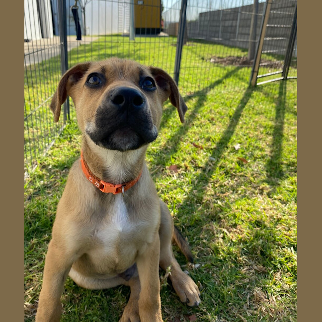 Photo of Michelangelo