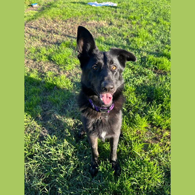 Photo of Azula