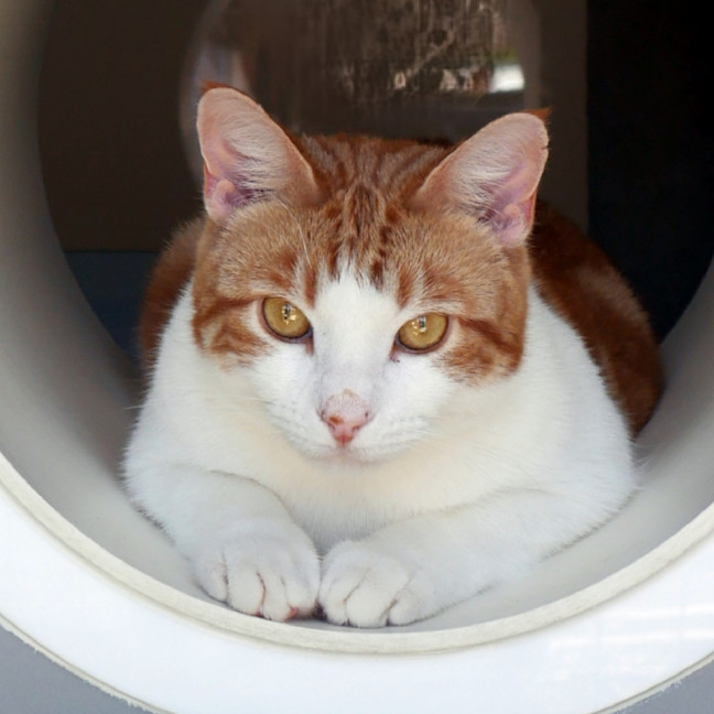 Photo of Vinnie Sta012938