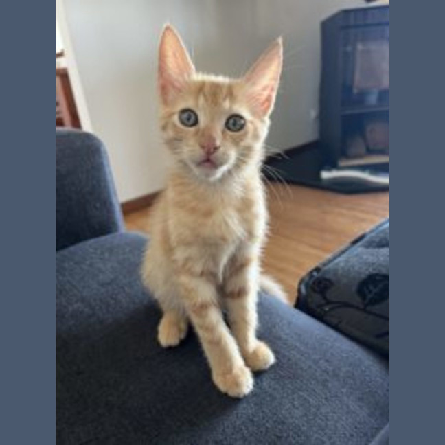 Photo of Milo
