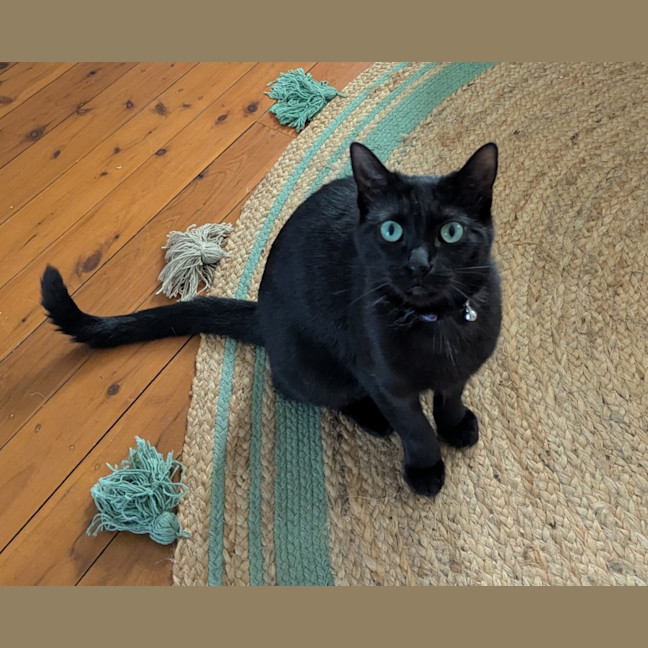 Photo of Emmy