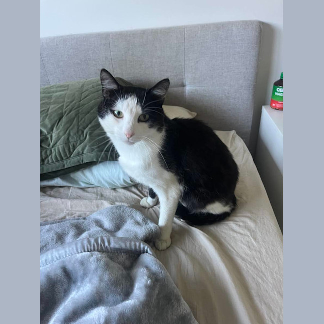 Photo of Lucky (Black & White)