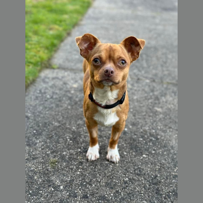 Photo of Titch 