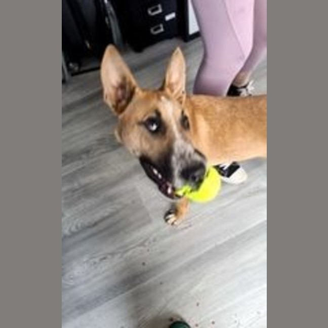 Photo of Peanut