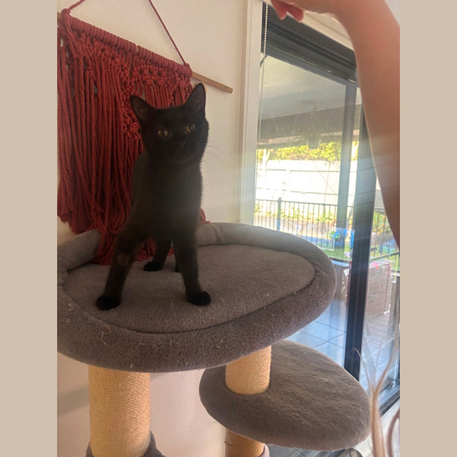 Photo of Princess