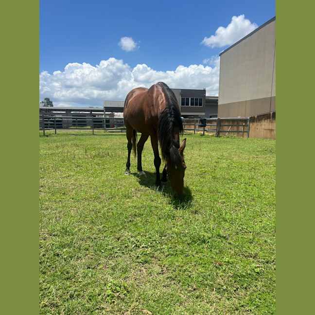 Photo of Delilah