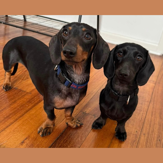 Photo of Chunka & Zativa 