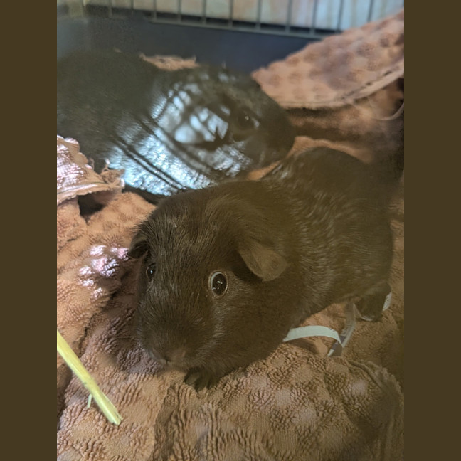 Photo of Tina 