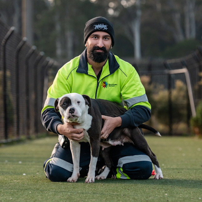 Photo of Storm Imp 1635