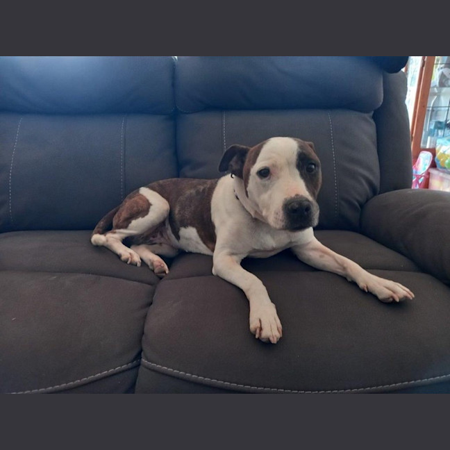 Photo of Blaze Newhaven