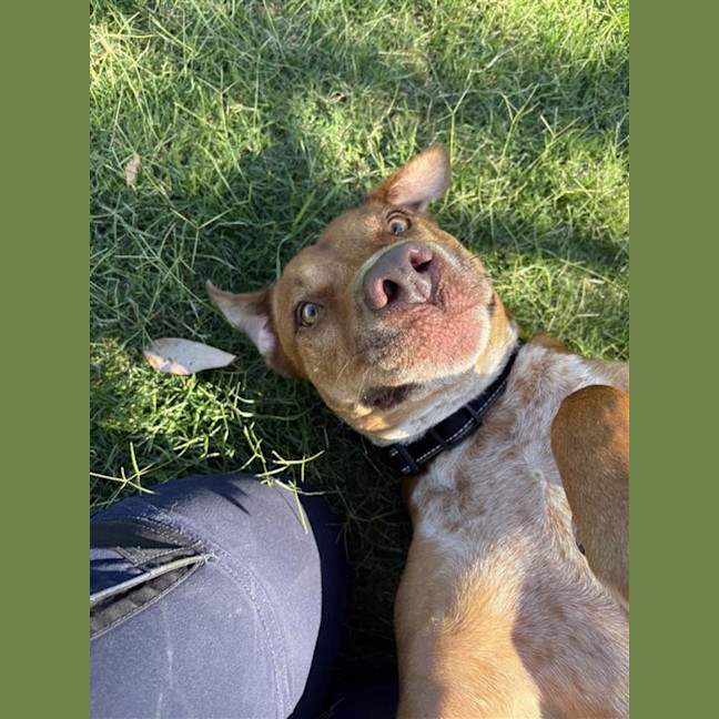 Photo of Bobby