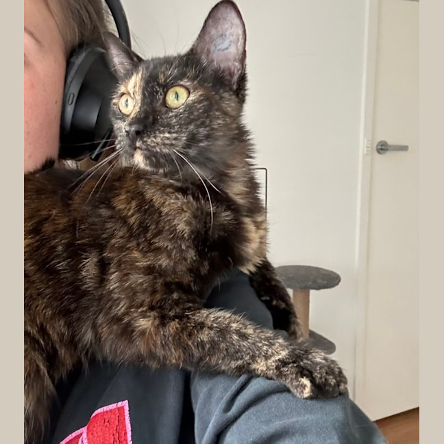 Photo of Strawberry 🍓 