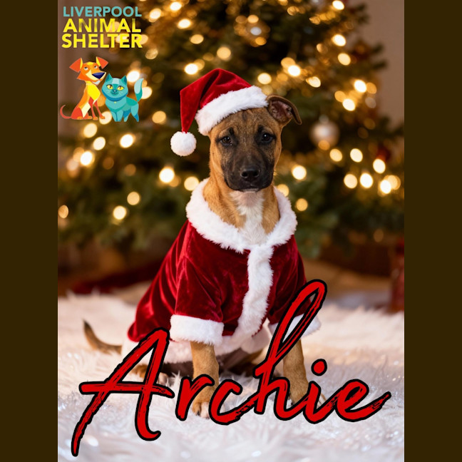 Photo of Archie