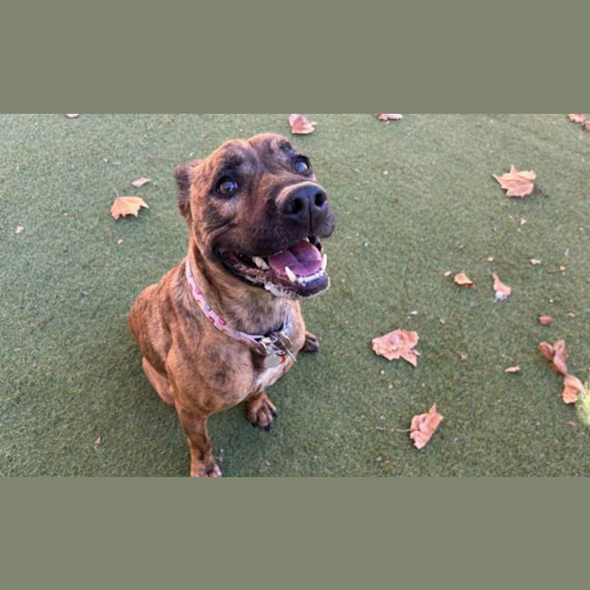 Photo of Jazz