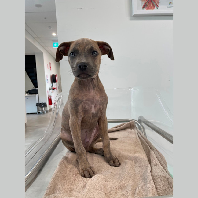 Photo of Zeus