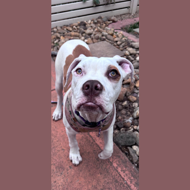 Photo of Clementine