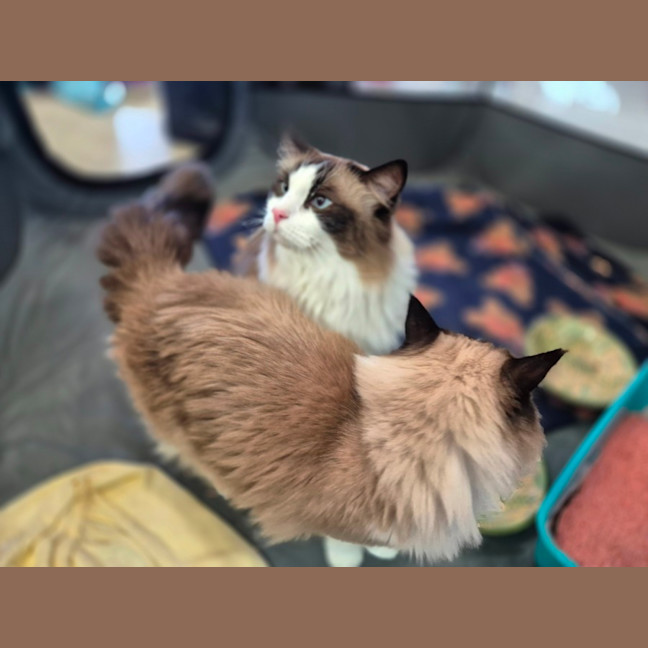 Photo of Bubbles And Lily 