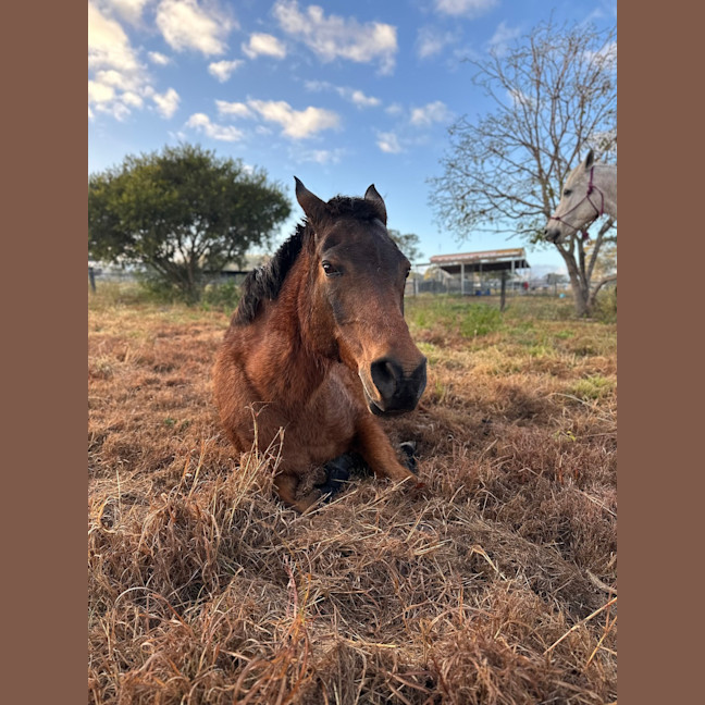 Photo of Isa