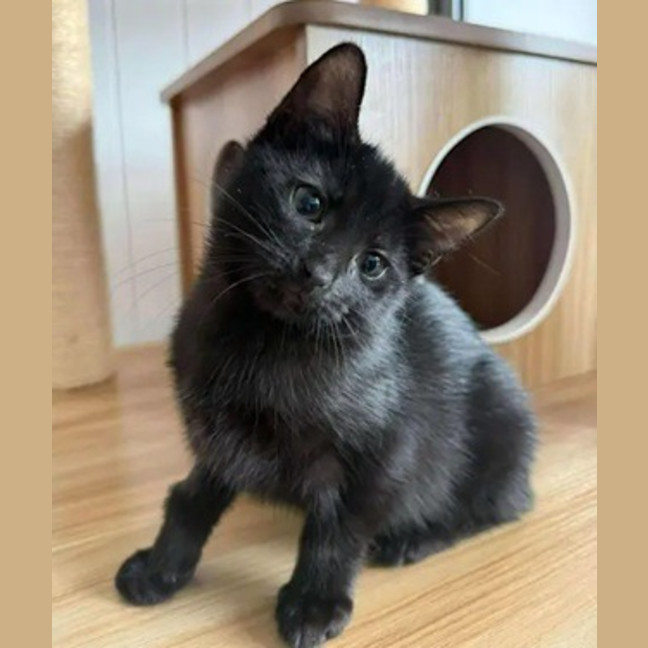 Photo of Laverne