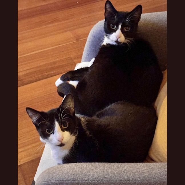 Photo of Lily & Delilah 