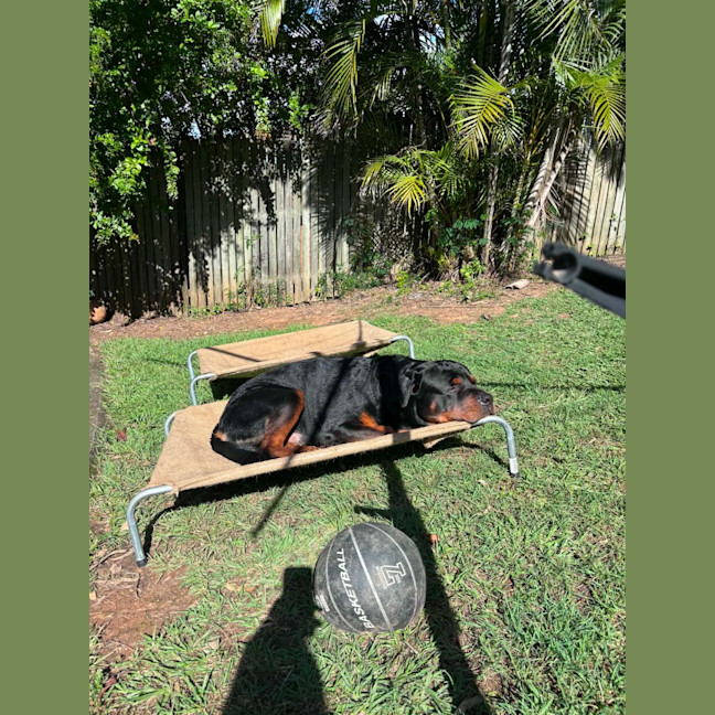 Photo of Onyx