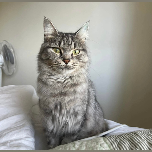 Photo of Cleopatra 