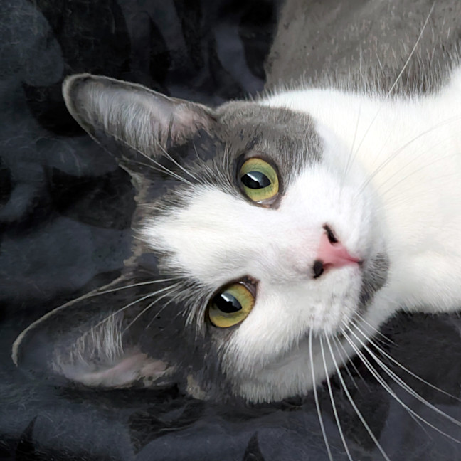 Photo of Buster
