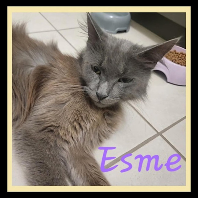 Photo of Esme