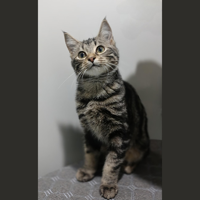 Photo of Ruben