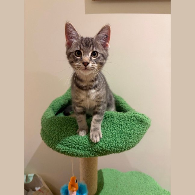 Photo of Jeremiah