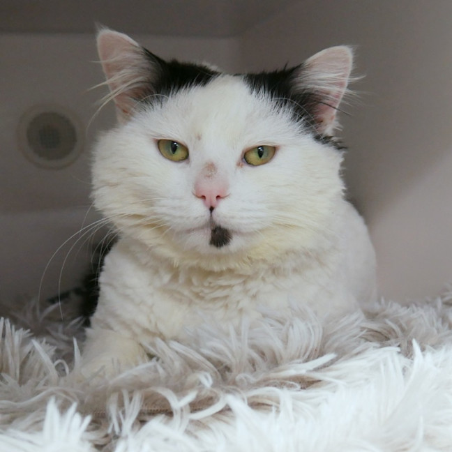 Photo of Po Sta012821