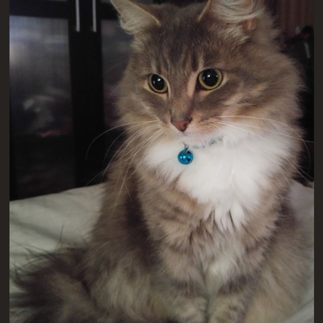 Photo of Klaus