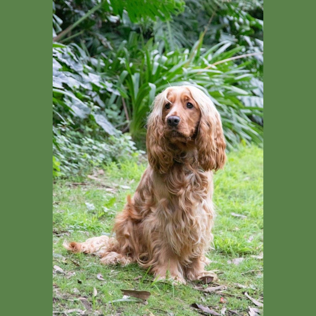 Photo of Cookie Dumont