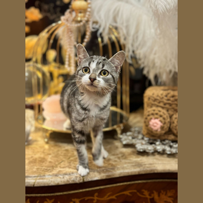 Photo of Fleur