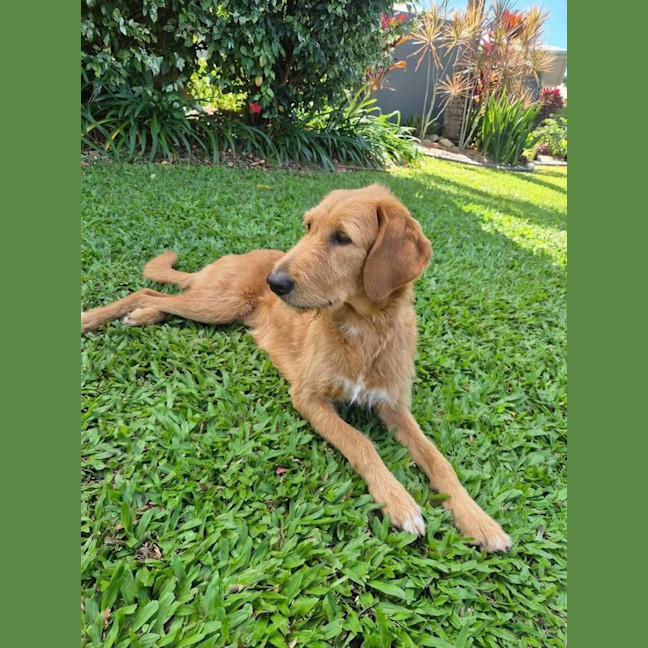 Photo of Daisy